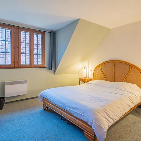 Villa Maison De Groupe - Salle De Jeux, Cuisine, Salle A Manger Et Salon Ouverts Kintzheim